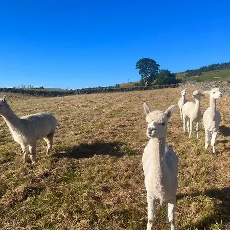 Сasa de vacaciones Close Farmhouse Alston